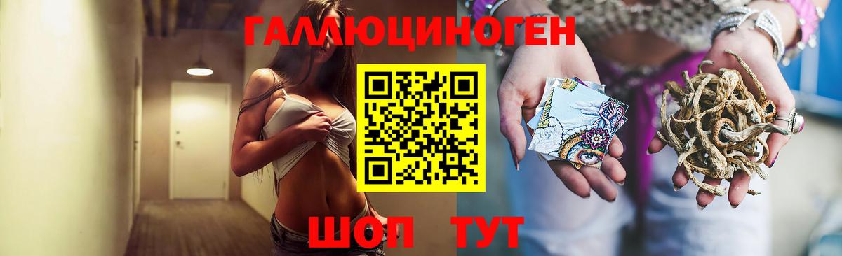 Галлюциногенные грибы Psilocybine cubensis Азнакаево